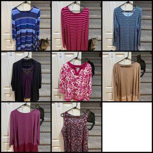 Plus Size Women's Clothes (PKG 4)